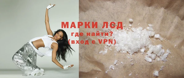 PSILOCYBIN Алзамай