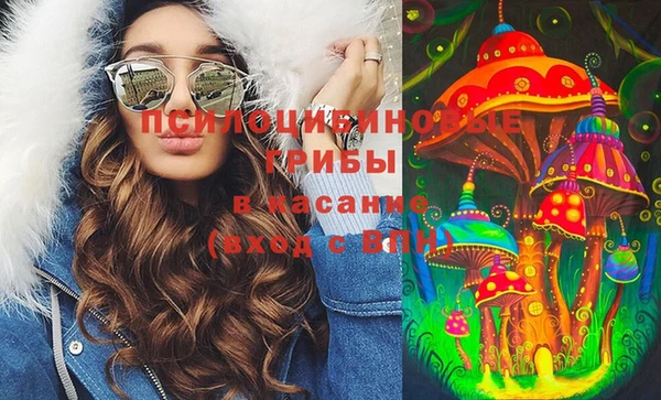 гашик Козловка