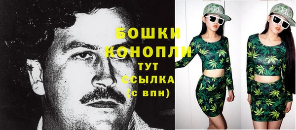 PSILOCYBIN Алзамай
