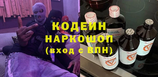 PSILOCYBIN Алзамай