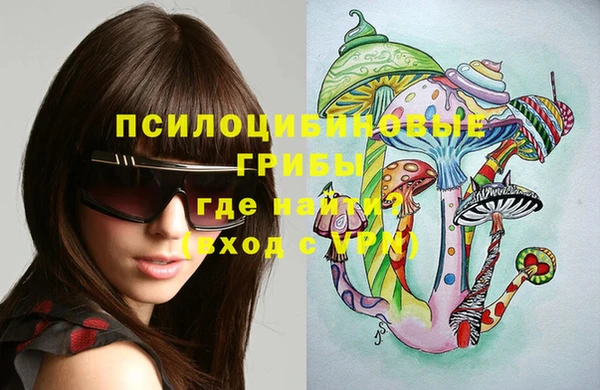PSILOCYBIN Алзамай