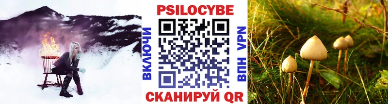 закладки  Коркино  Псилоцибиновые грибы мицелий 